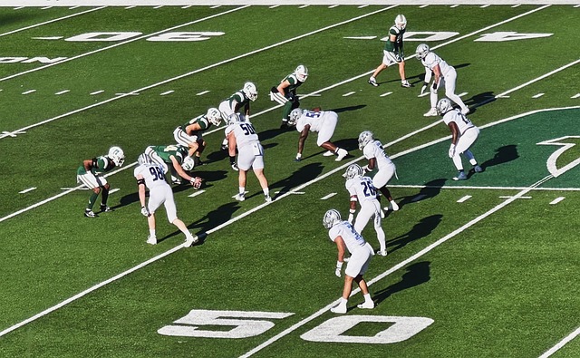 赋和不屈不 赋和不屈不