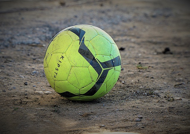 活的应变能 活的应变能