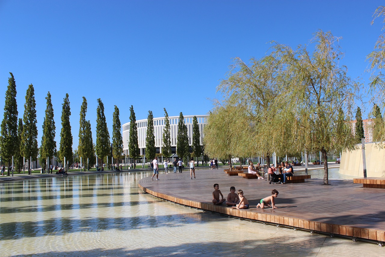 的出色状态 的出色状态