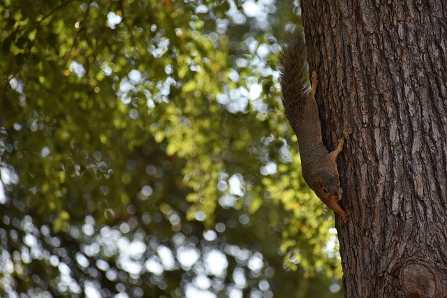 球队提供了 球队提供了