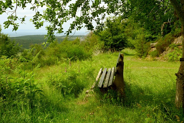 保镖的果断 保镖的果断